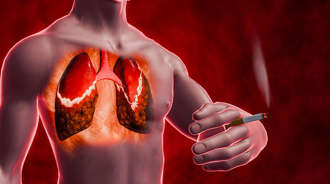 Harm Reduction vs Prohibition: The Evidence from Africa