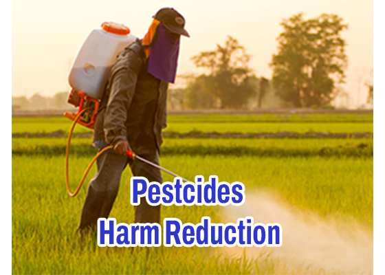 The Swedish Experience — Tobacco Harm Reduction Report